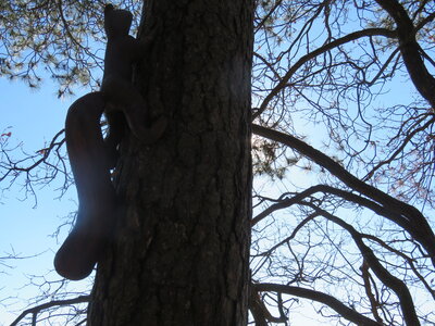 Boucle Charance, IMG_1140