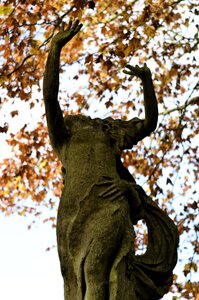 couleurs de l'automne , _DSC5895_m