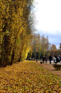 couleurs de l'automne , _DSC5907_m