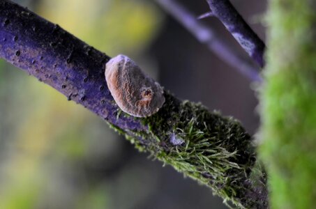 couleurs de l'automne , _DSC5922_m