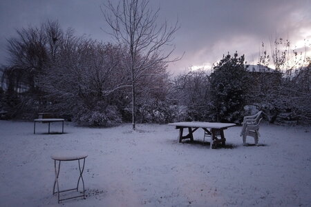 Neige au Phaux, dji_mimo_20251120_072858_230_1763621627883_photo