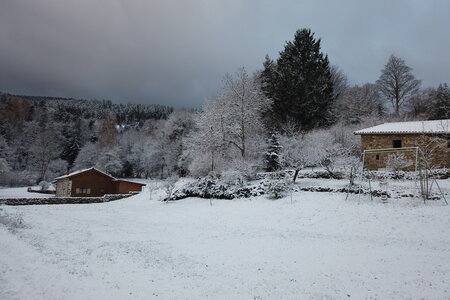 Neige au Phaux, dji_mimo_20251120_080354_234_1763623471809_photo