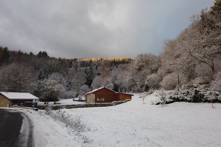 Neige au Phaux, dji_mimo_20251120_081122_238_1763623486095_photo