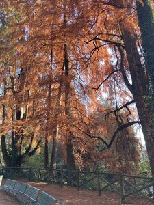 MILAN avec Vagues de Soleils novrembre 2025, IMG_6710