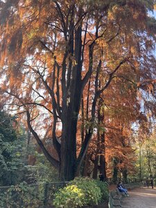 MILAN avec Vagues de Soleils novrembre 2025, IMG_6711