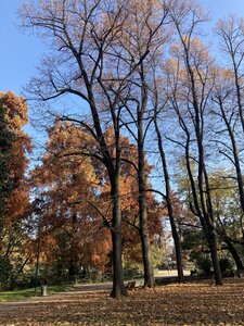 MILAN avec Vagues de Soleils novrembre 2025, IMG_6713