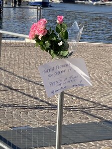 MILAN avec Vagues de Soleils novrembre 2025, IMG_6848