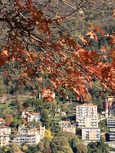 MILAN avec Vagues de Soleils novrembre 2025, IMG_6853