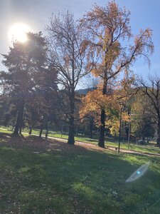 MILAN avec Vagues de Soleils novrembre 2025, IMG_6856