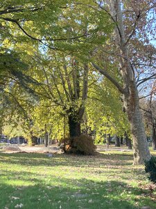 MILAN avec Vagues de Soleils novrembre 2025, IMG_6860