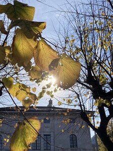 MILAN avec Vagues de Soleils novrembre 2025, IMG_6864