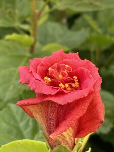 MILAN avec Vagues de Soleils novrembre 2025, IMG_6874