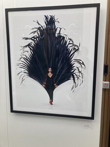 MILAN avec Vagues de Soleils novrembre 2025, IMG_6904