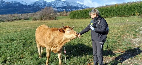 Rando promenade au Lac des Jaussauds, 20251125_113048