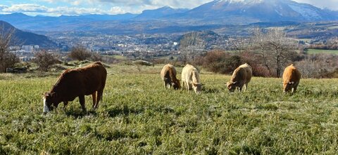 Rando promenade au Lac des Jaussauds, 20251125_113205