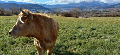 Rando promenade au lac des Jaussauds, 20251125_113011
