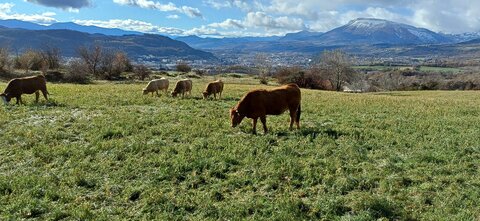 Rando promenade au lac des Jaussauds, 20251125_113031