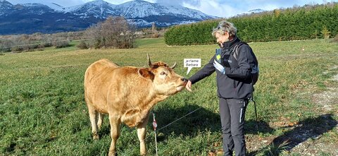 Rando promenade au lac des Jaussauds, 20251125_113048
