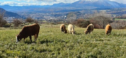 Rando promenade au lac des Jaussauds, 20251125_113205