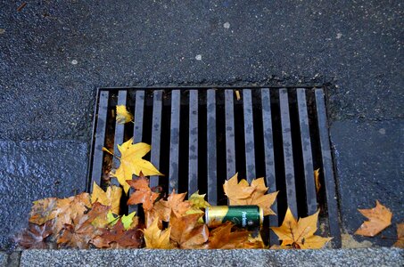 couleurs de l'automne , _DSC5697_m