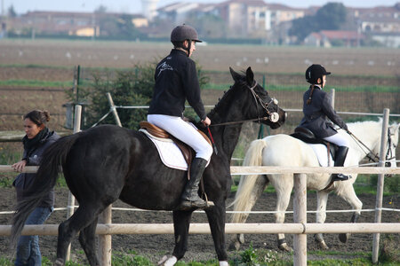 2009 : Jérémy en concours, IMG_0856
