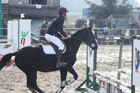 2009 : Jérémy en concours, IMG_0897