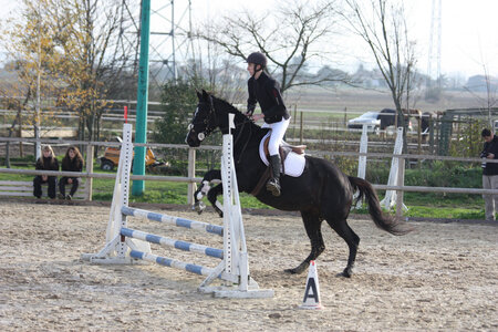 2009 : Jérémy en concours, IMG_0910