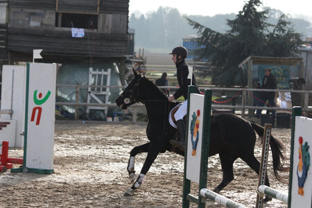 2009 : Jérémy en concours, IMG_0923