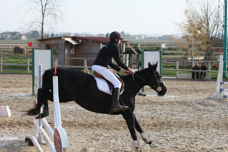 2009 : Jérémy en concours, IMG_0931