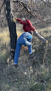 2025-11-28 Le club Bucheron, IMG_20251130_095549