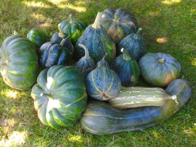 diden94, 19092010657