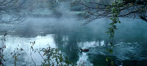  L'Instant Photo 84 : défi automne 2025 - fumée(s), fumée12