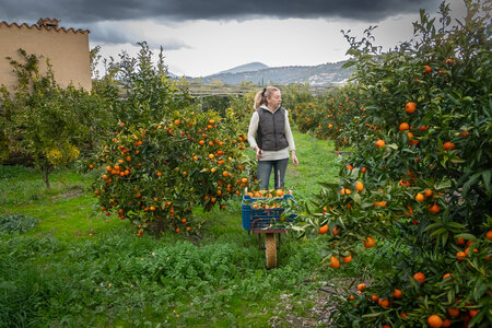 SANDRA  et BERNARD 1er décembre 2025, Sandra & Bernard 1dec25  2 sur 36 