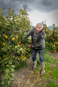 SANDRA  et BERNARD 1er décembre 2025, Sandra & Bernard 1dec25  15 sur 36 