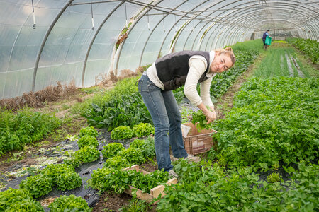 SANDRA  et BERNARD 1er décembre 2025, Sandra & Bernard 1dec25  25 sur 36 