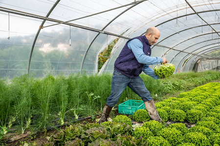 SANDRA  et BERNARD 1er décembre 2025, Sandra & Bernard 1dec25  30 sur 36 