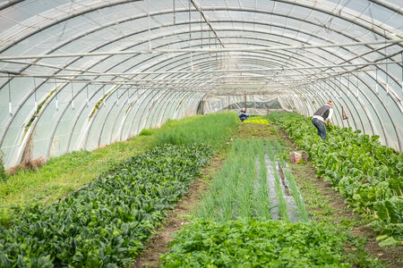 SANDRA  et BERNARD 1er décembre 2025, Sandra & Bernard 1dec25  34 sur 36 