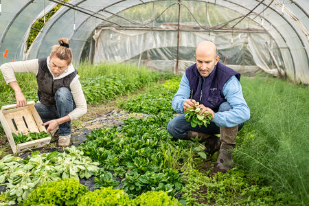 SANDRA  et BERNARD 1er décembre 2025, Sandra & Bernard 1dec25  35 sur 36 