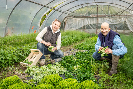 SANDRA  et BERNARD 1er décembre 2025, Sandra & Bernard 1dec25  36 sur 36 