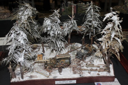 ExPo Willebroek 20 janvier 2013, _MG_0565