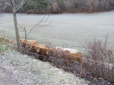 Boucle La Plaine Avançon, IMG_1157