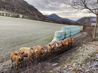 Boucle La Plaine Avançon, IMG_3408