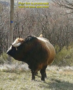 Du Collet d'Ancelle à la Rochette, 20251202_105346