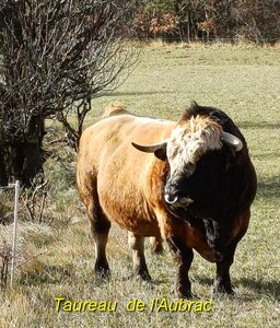Du Collet d'Ancelle à la Rochette, 20251202_105426
