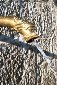 Meouge, meouge 20251209  28 