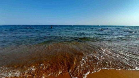 1996-Calabre_prepa, 956-canella-01