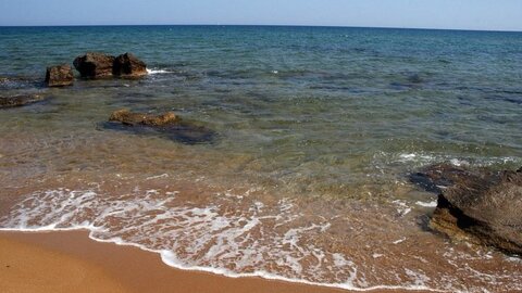 1996-Calabre_prepa, 956-canella-02