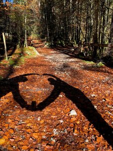 Concours photo soie 2026, Participation_Thibaut