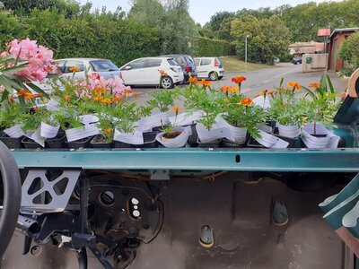 21-06 Distribution Œillets Dingue - Voisinerie, 20210621_184553