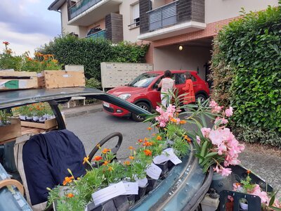 21-06 Distribution Œillets Dingue - Voisinerie, 20210621_192159